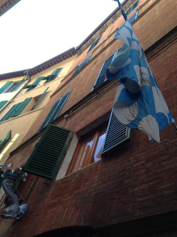 Palazzo Masi Bed and Breakfast Siena Exteriör bild